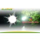 ST10 KLARUS